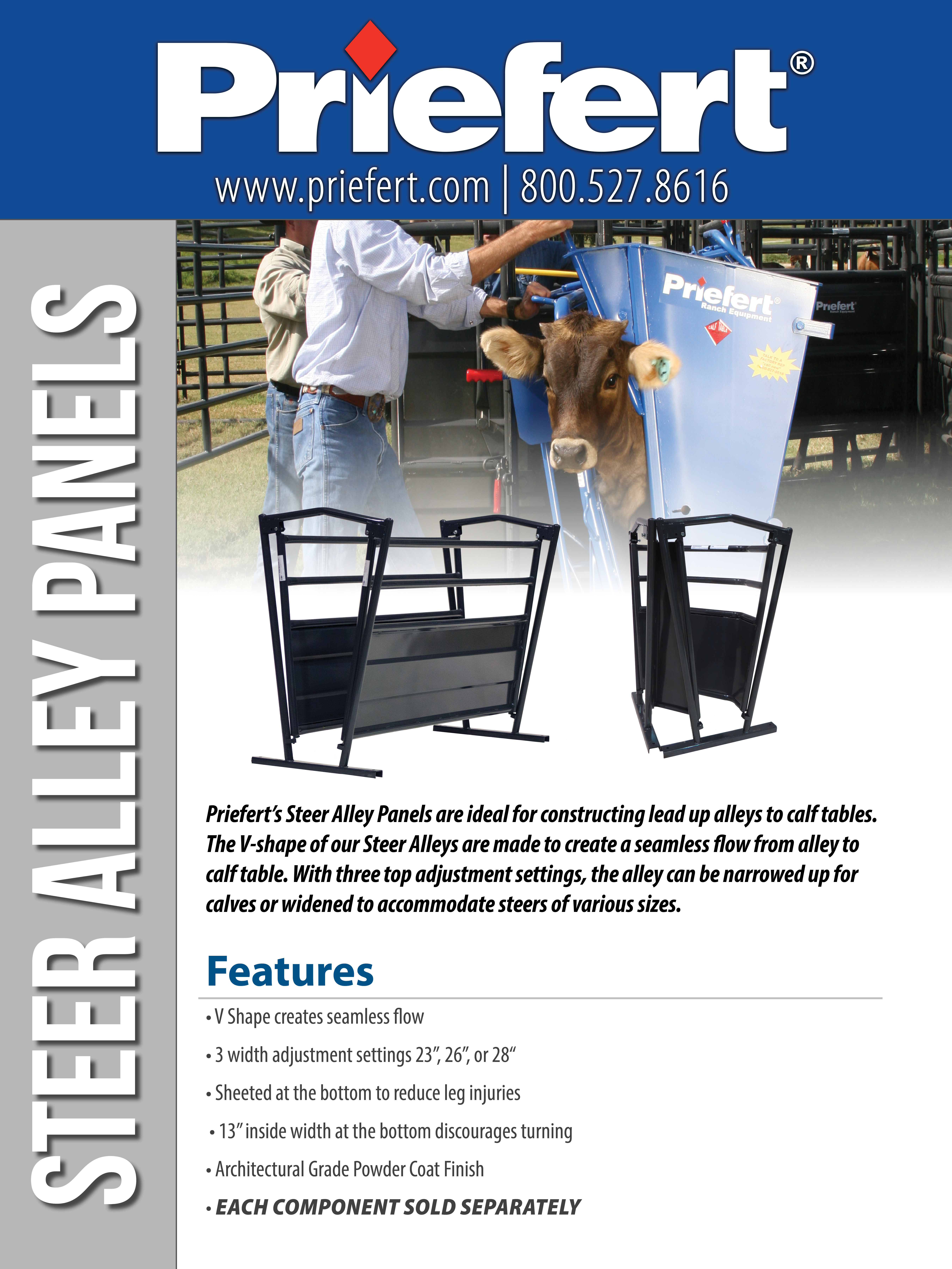 POS Steer Alley Cattle.jpg