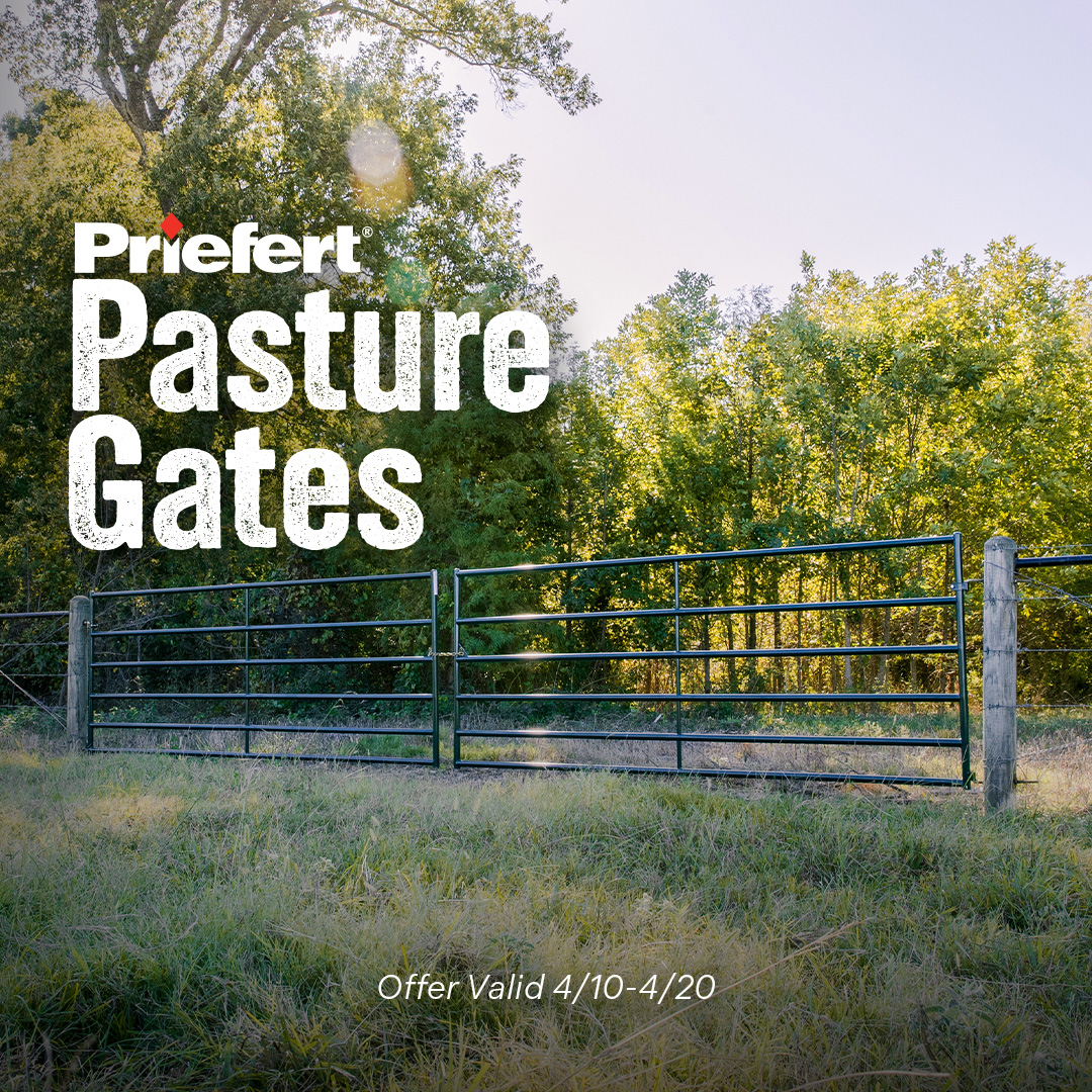 Ex Pasture Gates.jpg