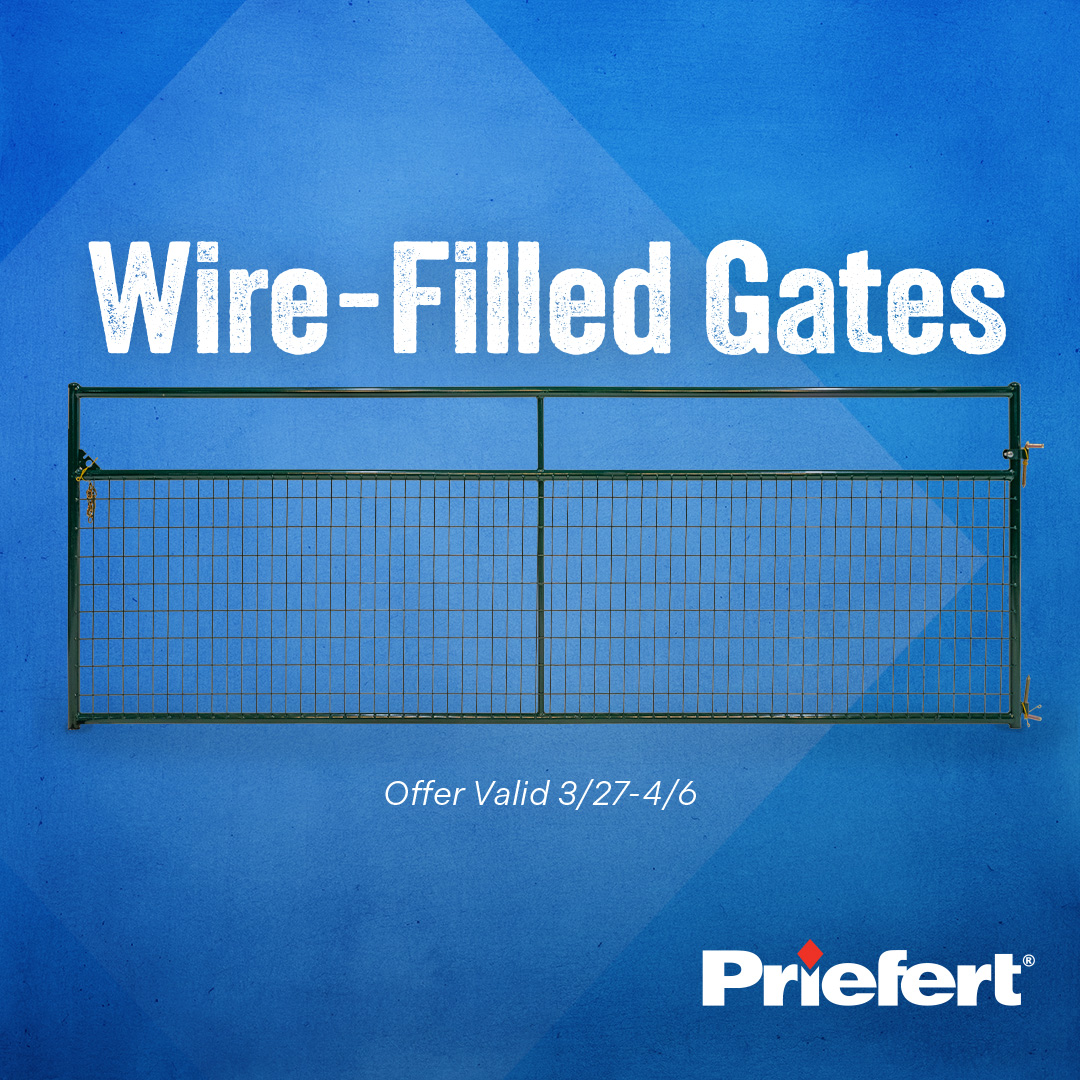 Ex Wire Filled Gates.jpg